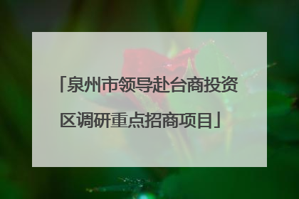 泉州市领导赴台商投资区调研重点招商项目