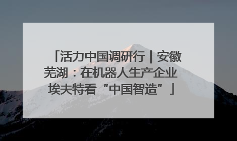 活力中国调研行｜安徽芜湖：在机器人生产企业埃夫特看“中国智造”