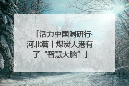 活力中国调研行·河北篇丨煤炭大港有了“智慧大脑”