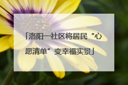 洛阳一社区将居民“心愿清单”变幸福实景