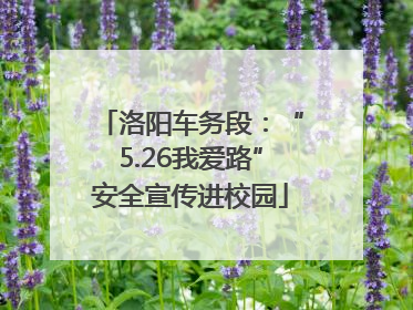 洛阳车务段：“5.26我爱路”安全宣传进校园