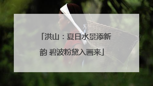 洪山：夏日水景添新韵 碧波粉黛入画来