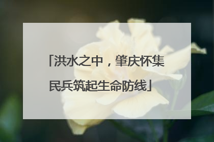 洪水之中，肇庆怀集民兵筑起生命防线