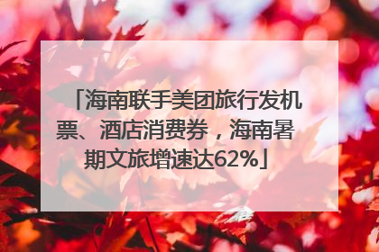 海南联手美团旅行发机票、酒店消费券，海南暑期文旅增速达62%