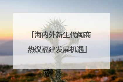 海内外新生代闽商热议福建发展机遇