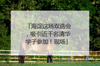海淀这场双选会，吸引近千名清华学子参加！现场
