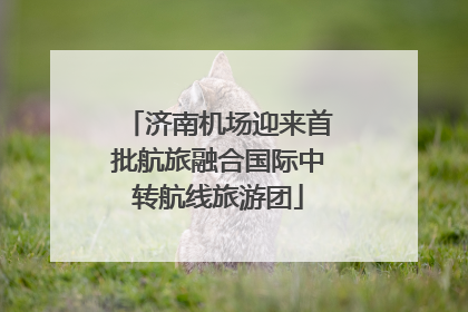 济南机场迎来首批航旅融合国际中转航线旅游团