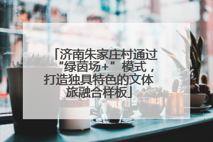 济南朱家庄村通过“绿茵场+”模式，打造独具特色的文体旅融合样板