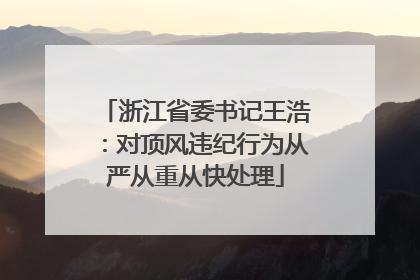 浙江省委书记王浩：对顶风违纪行为从严从重从快处理