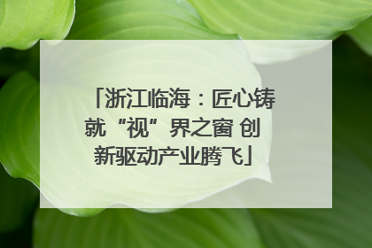 浙江临海：匠心铸就“视”界之窗 创新驱动产业腾飞