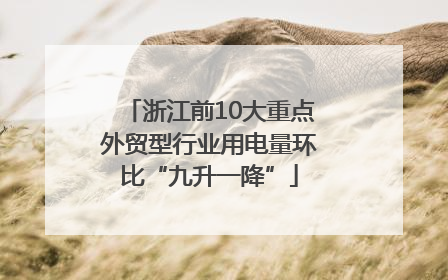 浙江前10大重点外贸型行业用电量环比“九升一降”