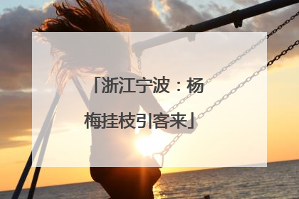 浙江宁波：杨梅挂枝引客来