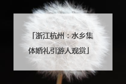 浙江杭州：水乡集体婚礼引游人观赏