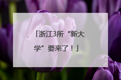 浙江3所“新大学”要来了！
