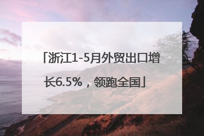 浙江1-5月外贸出口增长6.5%，领跑全国