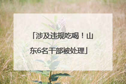 涉及违规吃喝！山东6名干部被处理