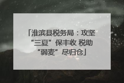淮滨县税务局：攻坚“三夏”保丰收 税助“弱麦”尽归仓