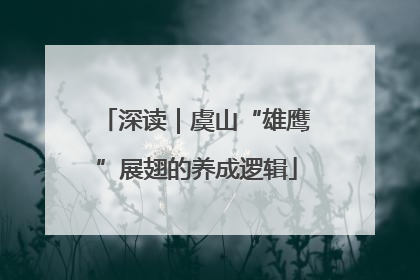 深读｜虞山“雄鹰”展翅的养成逻辑