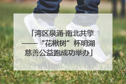 湾区泉涌·南北共擎——“花楸树”杯明湖慈善公益跑成功举办