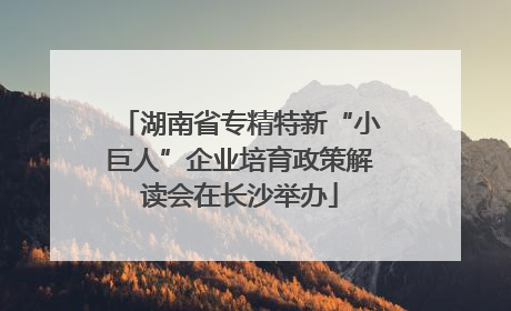 湖南省专精特新“小巨人”企业培育政策解读会在长沙举办