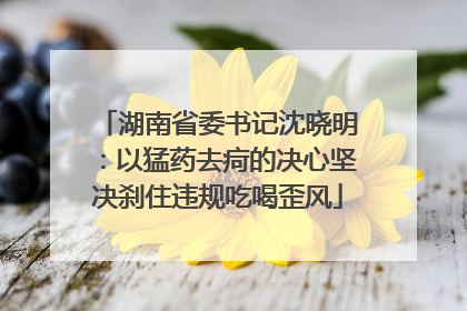 湖南省委书记沈晓明：以猛药去疴的决心坚决刹住违规吃喝歪风