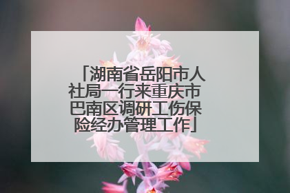 湖南省岳阳市人社局一行来重庆市巴南区调研工伤保险经办管理工作