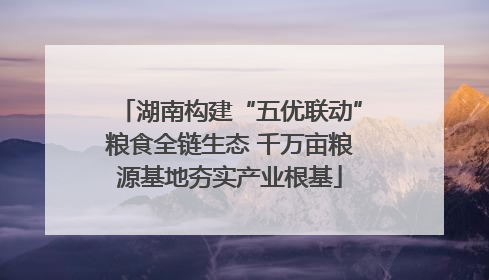 湖南构建“五优联动”粮食全链生态 千万亩粮源基地夯实产业根基