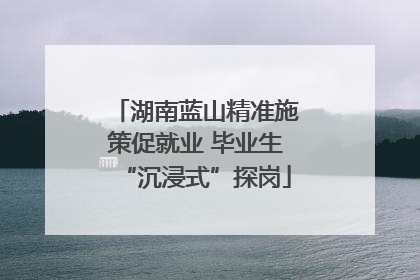 湖南蓝山精准施策促就业 毕业生“沉浸式”探岗