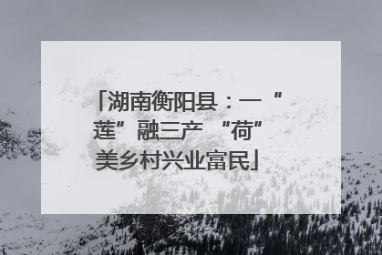 湖南衡阳县：一“莲”融三产 “荷”美乡村兴业富民