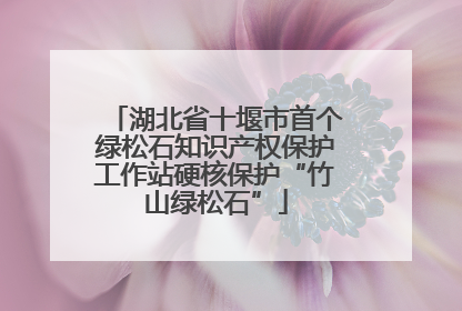 湖北省十堰市首个绿松石知识产权保护工作站硬核保护“竹山绿松石”