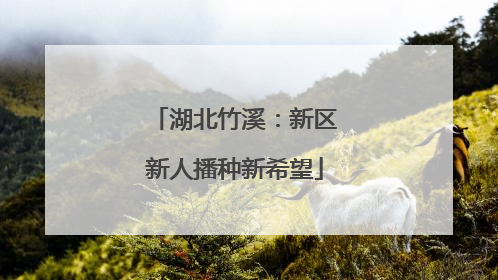 湖北竹溪：新区新人播种新希望