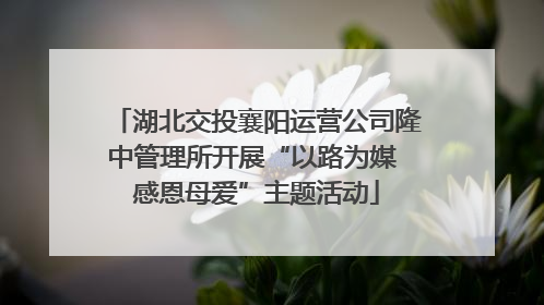 湖北交投襄阳运营公司隆中管理所开展“以路为媒 感恩母爱”主题活动