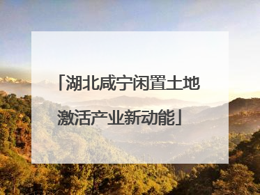 湖北咸宁闲置土地激活产业新动能