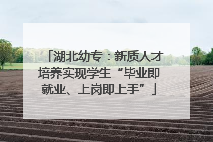 湖北幼专：新质人才培养实现学生“毕业即就业、上岗即上手”