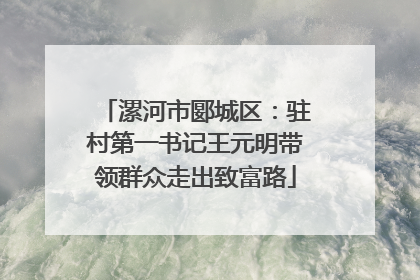 漯河市郾城区：驻村第一书记王元明带领群众走出致富路
