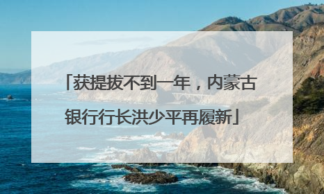 获提拔不到一年，内蒙古银行行长洪少平再履新