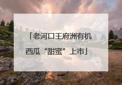 老河口王府洲有机西瓜“甜蜜”上市