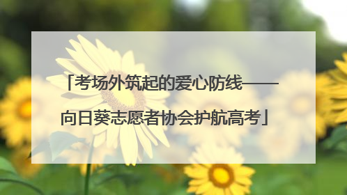 考场外筑起的爱心防线——向日葵志愿者协会护航高考