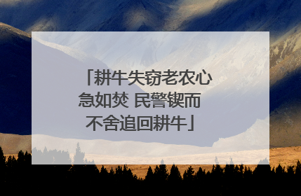 耕牛失窃老农心急如焚 民警锲而不舍追回耕牛
