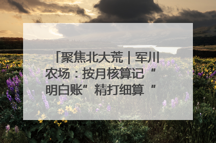 聚焦北大荒｜军川农场：按月核算记“明白账”精打细算“过紧日子”