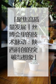 聚焦高质量发展丨丝博会里的技术脉动：陕西科创的突破与想象
