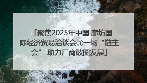 聚焦2025年中国·廊坊国际经济贸易洽谈会③一场“链主会” 助力厂商破圈发展