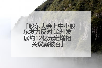 股东大会上中小股东发力反对 漳州发展约12亿元定增相关议案被否