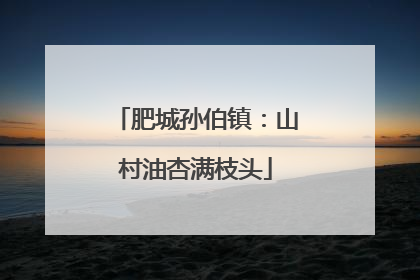 肥城孙伯镇：山村油杏满枝头