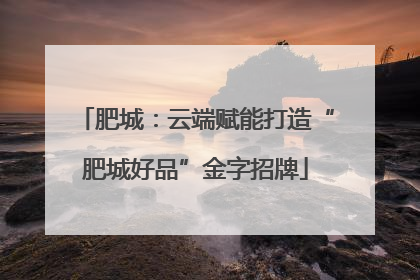 肥城：云端赋能打造“肥城好品”金字招牌