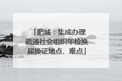 肥城：集成办理 疏通社会组织年检换届换证堵点、难点