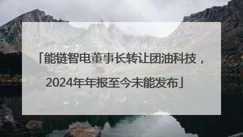 能链智电董事长转让团油科技，2024年年报至今未能发布
