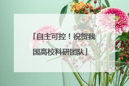 自主可控！祝贺我国高校科研团队