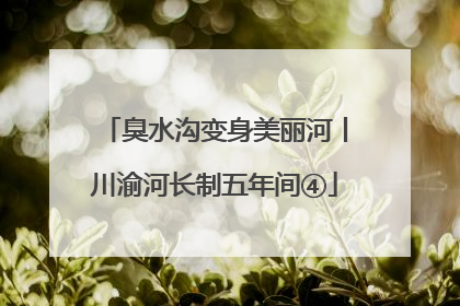 臭水沟变身美丽河丨川渝河长制五年间④