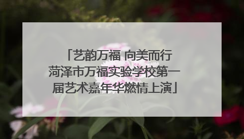 艺韵万福 向美而行 菏泽市万福实验学校第一届艺术嘉年华燃情上演